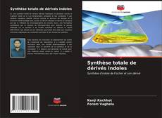 Buchcover von Synthèse totale de dérivés indoles