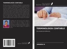Buchcover von TERMINOLOGÍA CONTABLE