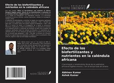 Buchcover von Efecto de los biofertilizantes y nutrientes en la caléndula africana