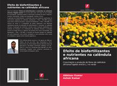 Borítókép a  Efeito de biofertilizantes e nutrientes na calêndula africana - hoz