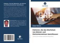 Buchcover von Faktoren, die das Wachstum von Kleinst- und Kleinunternehmen beeinflussen