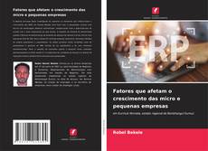 Buchcover von Fatores que afetam o crescimento das micro e pequenas empresas