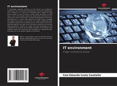 Buchcover von IT environment