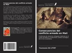 Portada del libro de Consecuencias del conflicto armado en Malí