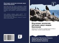 Buchcover von Изучение экологии питания двух видов бакланов