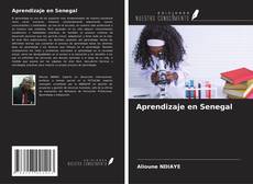 Aprendizaje en Senegal kitap kapağı