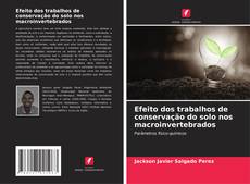 Bookcover of Efeito dos trabalhos de conservação do solo nos macroinvertebrados