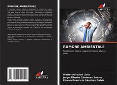 Bookcover of RUMORE AMBIENTALE
