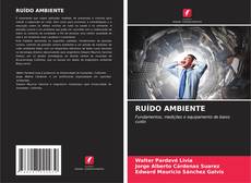 RUÍDO AMBIENTE kitap kapağı