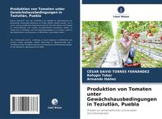 Bookcover of Produktion von Tomaten unter Gewächshausbedingungen in Teziutlán, Puebla