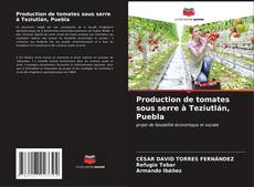 Capa do livro de Production de tomates sous serre à Teziutlán, Puebla 