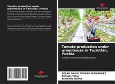 Tomato production under greenhouse in Teziutlán, Puebla kitap kapağı
