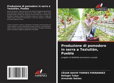 Bookcover of Produzione di pomodoro in serra a Teziutlán, Puebla