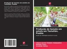 Portada del libro de Produção de tomate em estufa em Teziutlán, Puebla
