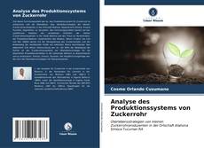 Analyse des Produktionssystems von Zuckerrohr kitap kapağı