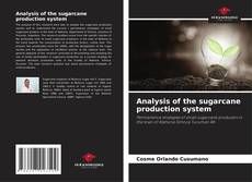 Analysis of the sugarcane production system kitap kapağı