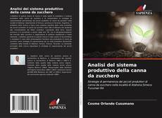 Bookcover of Analisi del sistema produttivo della canna da zucchero