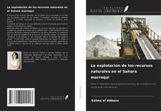 La explotación de los recursos naturales en el Sahara marroquí kitap kapağı