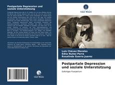 Postpartale Depression und soziale Unterstützung kitap kapağı