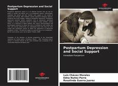 Buchcover von Postpartum Depression and Social Support