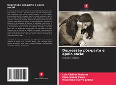 Portada del libro de Depressão pós-parto e apoio social