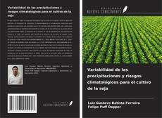 Buchcover von Variabilidad de las precipitaciones y riesgos climatológicos para el cultivo de la soja