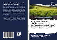 Bookcover of Не Джиго Дзен До "Безопасный профессиональный путь"