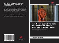 Buchcover von Iura Novit Curia Principle as a limitation of the Principle of Congruence