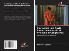 Il principio Iura Novit Curia come vincolo al Principio di Congruenza的封面