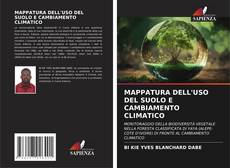 MAPPATURA DELL'USO DEL SUOLO E CAMBIAMENTO CLIMATICO kitap kapağı