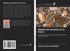 Delitos de minería en la R.D.C kitap kapağı