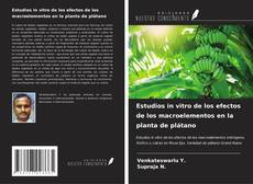 Copertina di Estudios in vitro de los efectos de los macroelementos en la planta de plátano