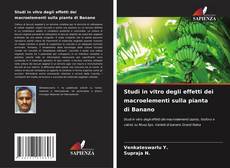 Capa do livro de Studi in vitro degli effetti dei macroelementi sulla pianta di Banano 
