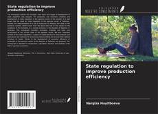 Buchcover von State regulation to improve production efficiency