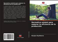 Bookcover of Normativa estatal para mejorar la eficiencia de la producción