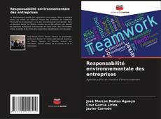 Bookcover of Responsabilité environnementale des entreprises
