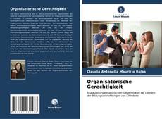 Bookcover of Organisatorische Gerechtigkeit