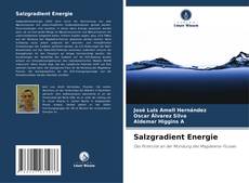 Capa do livro de Salzgradient Energie 