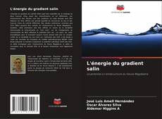Capa do livro de L'énergie du gradient salin 