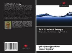 Buchcover von Salt Gradient Energy