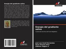 Buchcover von Energia del gradiente salino