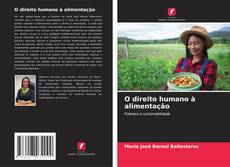 Buchcover von O direito humano à alimentação