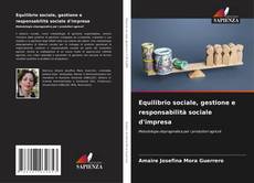 Equilibrio sociale, gestione e responsabilità sociale d'impresa kitap kapağı
