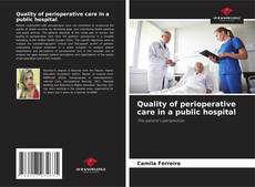 Quality of perioperative care in a public hospital kitap kapağı