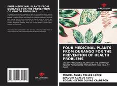 Capa do livro de FOUR MEDICINAL PLANTS FROM DURANGO FOR THE PREVENTION OF HEALTH PROBLEMS 