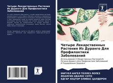 Buchcover von Четыре Лекарственных Растения Из Дуранго Для Профилактики Заболеваний