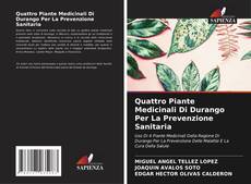 Capa do livro de Quattro Piante Medicinali Di Durango Per La Prevenzione Sanitaria 
