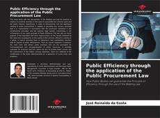 Capa do livro de Public Efficiency through the application of the Public Procurement Law 