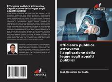 Buchcover von Efficienza pubblica attraverso l'applicazione della legge sugli appalti pubblici