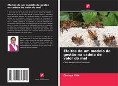 Bookcover of Efeitos de um modelo de gestão na cadeia de valor do mel